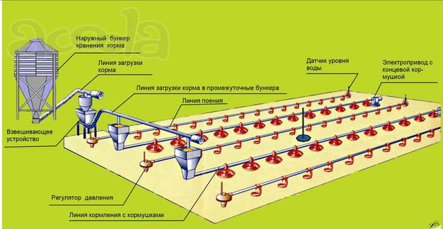 Оборудование для  напольного  выращивания  бройлеров